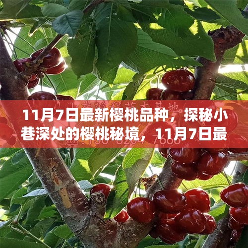 第1892页
