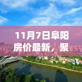 精品展示 第307页