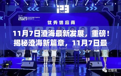 关于我们 第295页