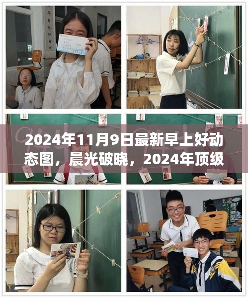 在线留言 第296页
