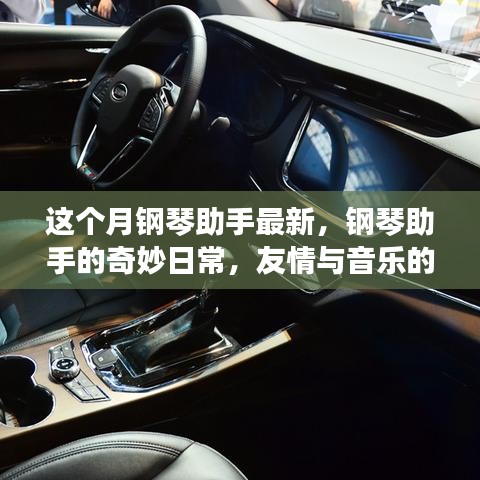 关于我们 第289页