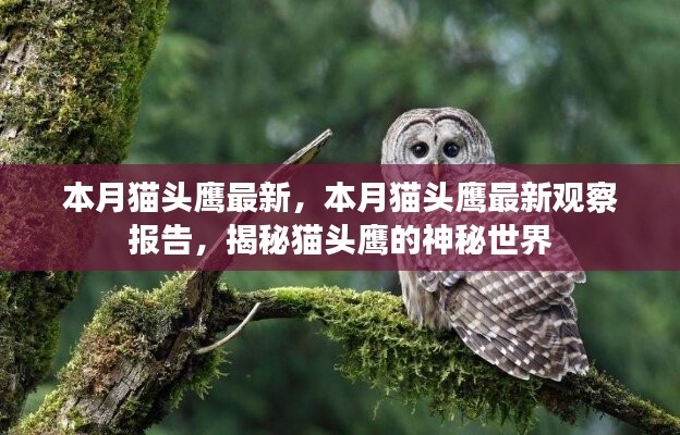 在线留言 第286页