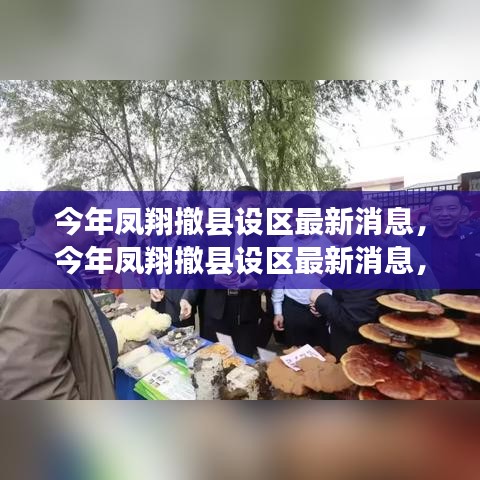 精品展示 第292页