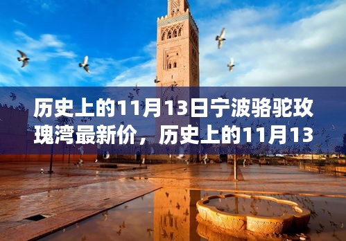 联系我们 第279页
