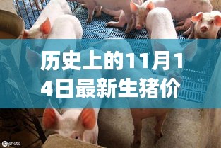 联系我们 第268页