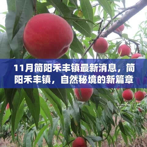 精品展示 第271页