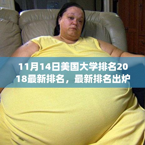 新闻中心 第266页