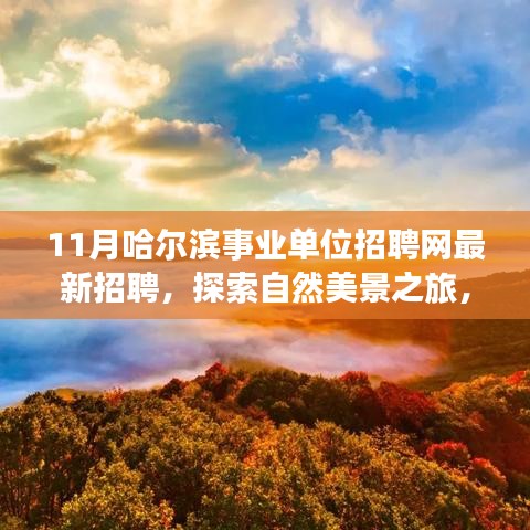 在线留言 第255页