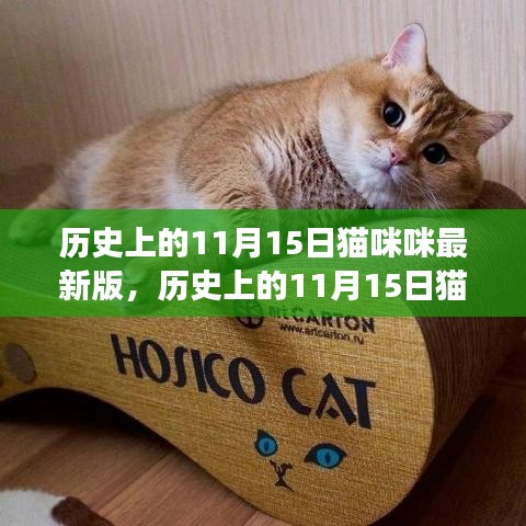 新闻中心 第256页
