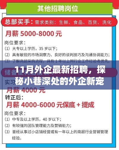 关于我们 第246页