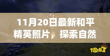 联系我们 第246页