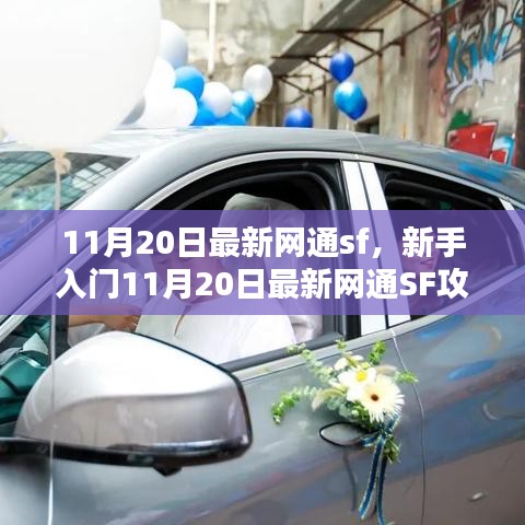 联系我们 第245页