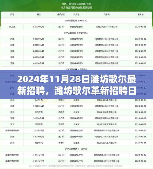 第1335页