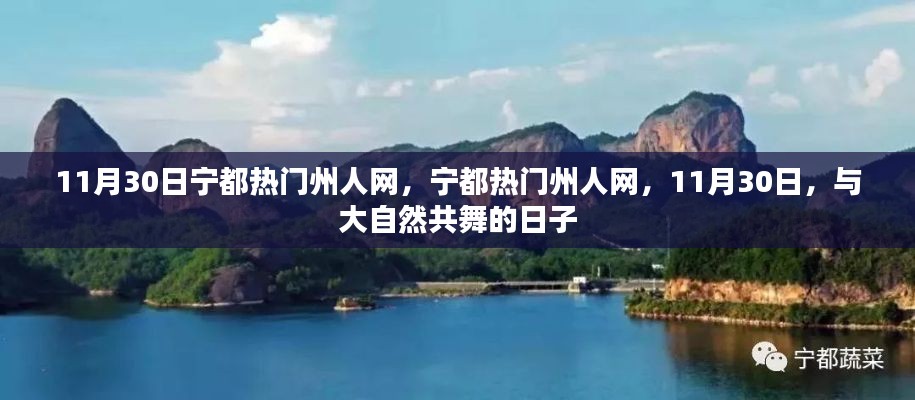 第1262页