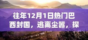 第1234页