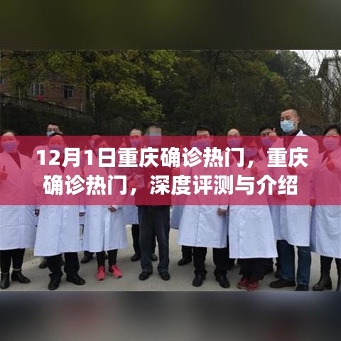 第1231页