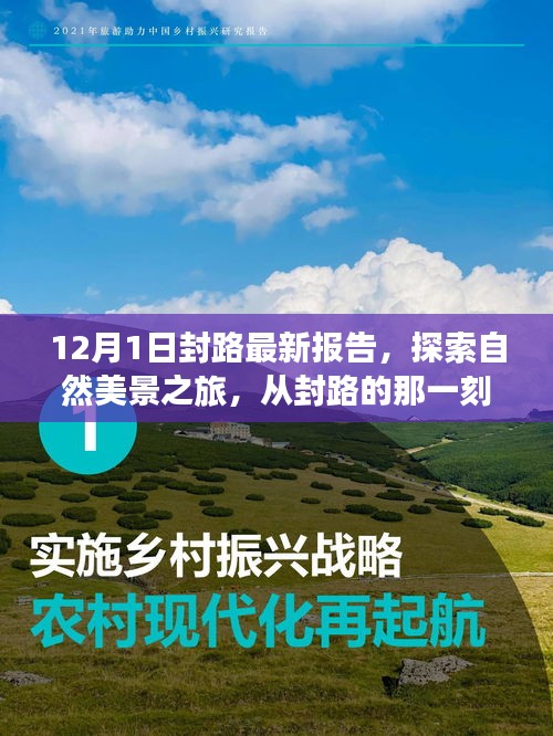 第1216页