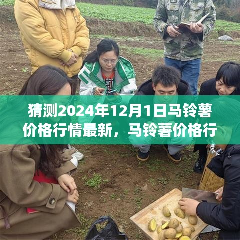 第1206页