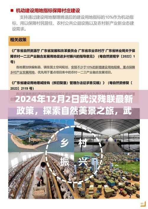 第1193页
