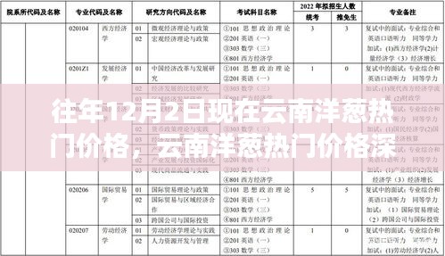 云南洋葱热门价格解析，深度探讨、特性体验、竞品对比与目标用户分析