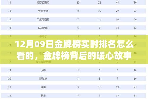 新闻中心 第155页