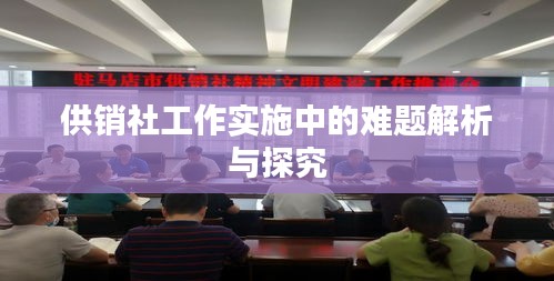 百不获一 第2页