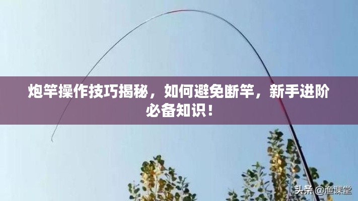 贵阴贱璧 第2页