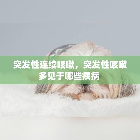 第572页