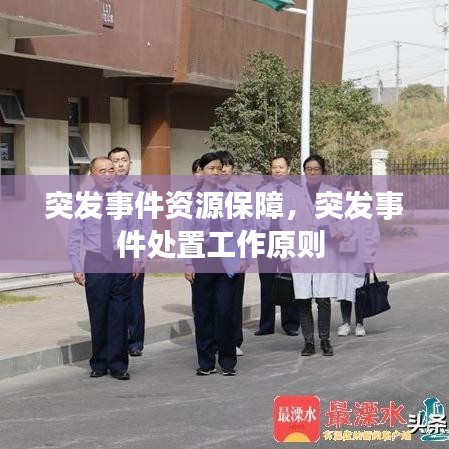 第570页
