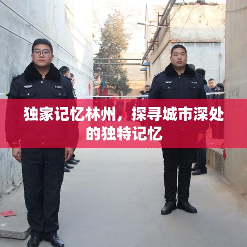 第408页