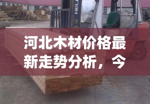 第403页