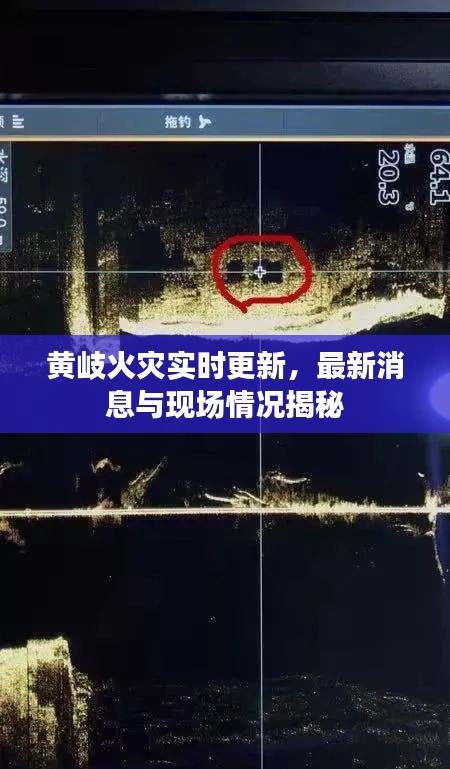 第383页