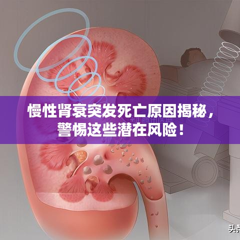 第382页
