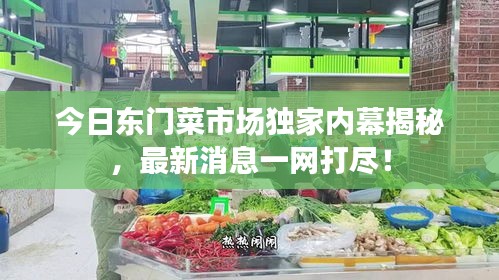 只争朝夕