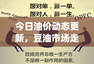 在线留言 第43页
