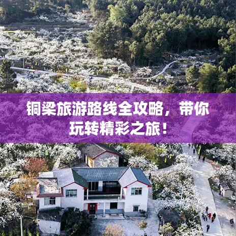 第240页