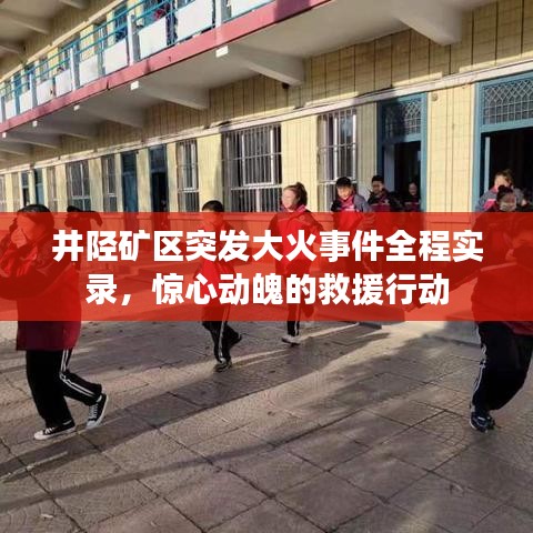 关于我们 第41页