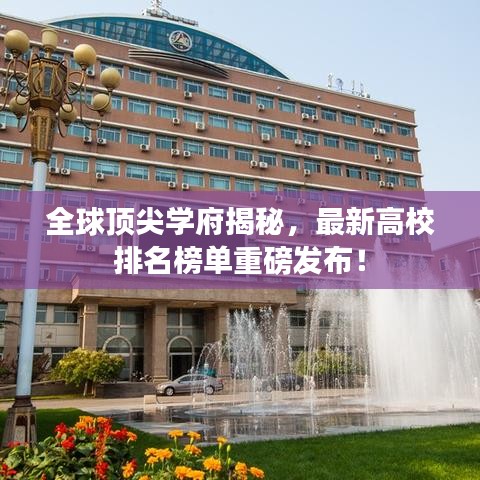 第204页