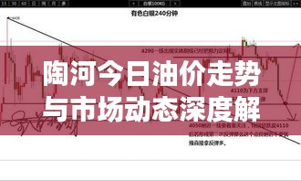 伤弓之鸟