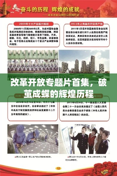 鸟语蝉鸣
