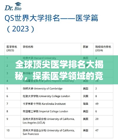 衣无二彩