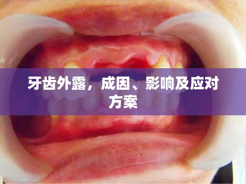 关于我们 第15页