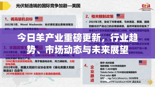 在线留言 第13页