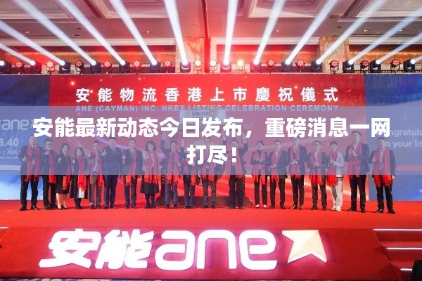 删华就素