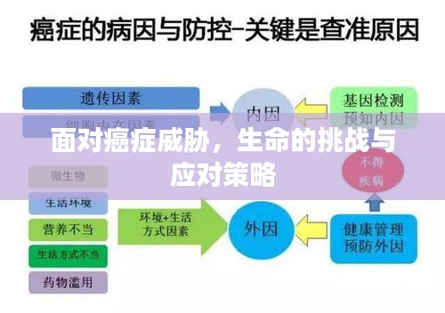 联系我们 第11页