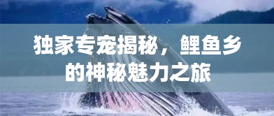 张飞穿针