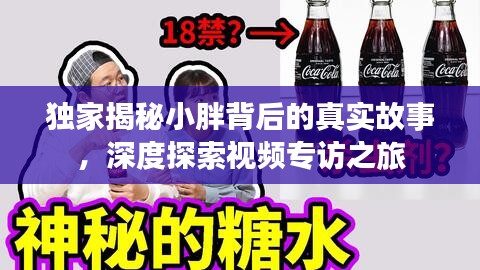 联系我们 第10页