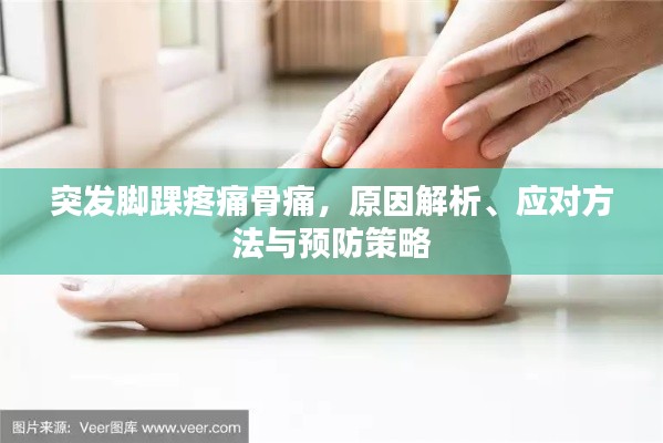鸟吏鼈官