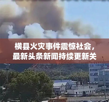 鸟为食亡