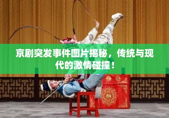 物以稀为贵